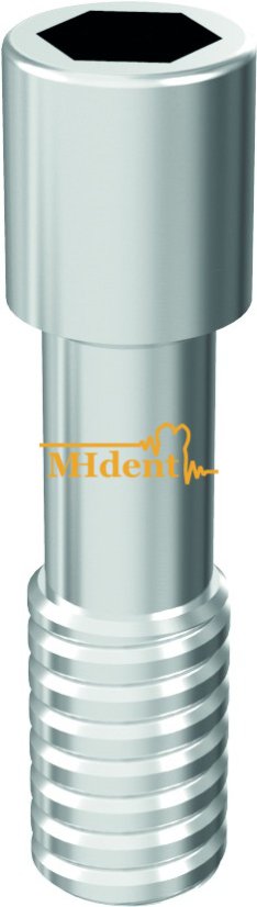 ARUM Šroub kompatibilní s ALPHABIOTEC® Internal Hex 4.2/5.0/6.0 - Balení: 1 ks