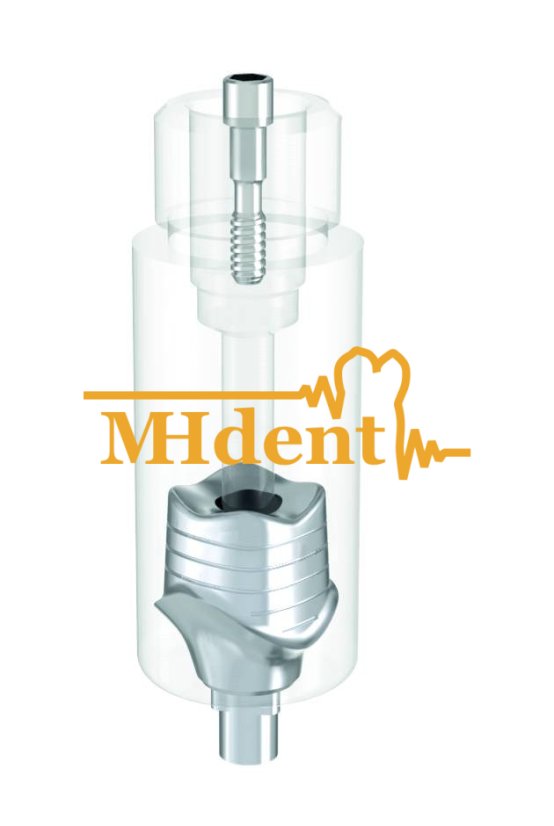 ARUM Internal premill blank 10mm - Balení: 1 ks